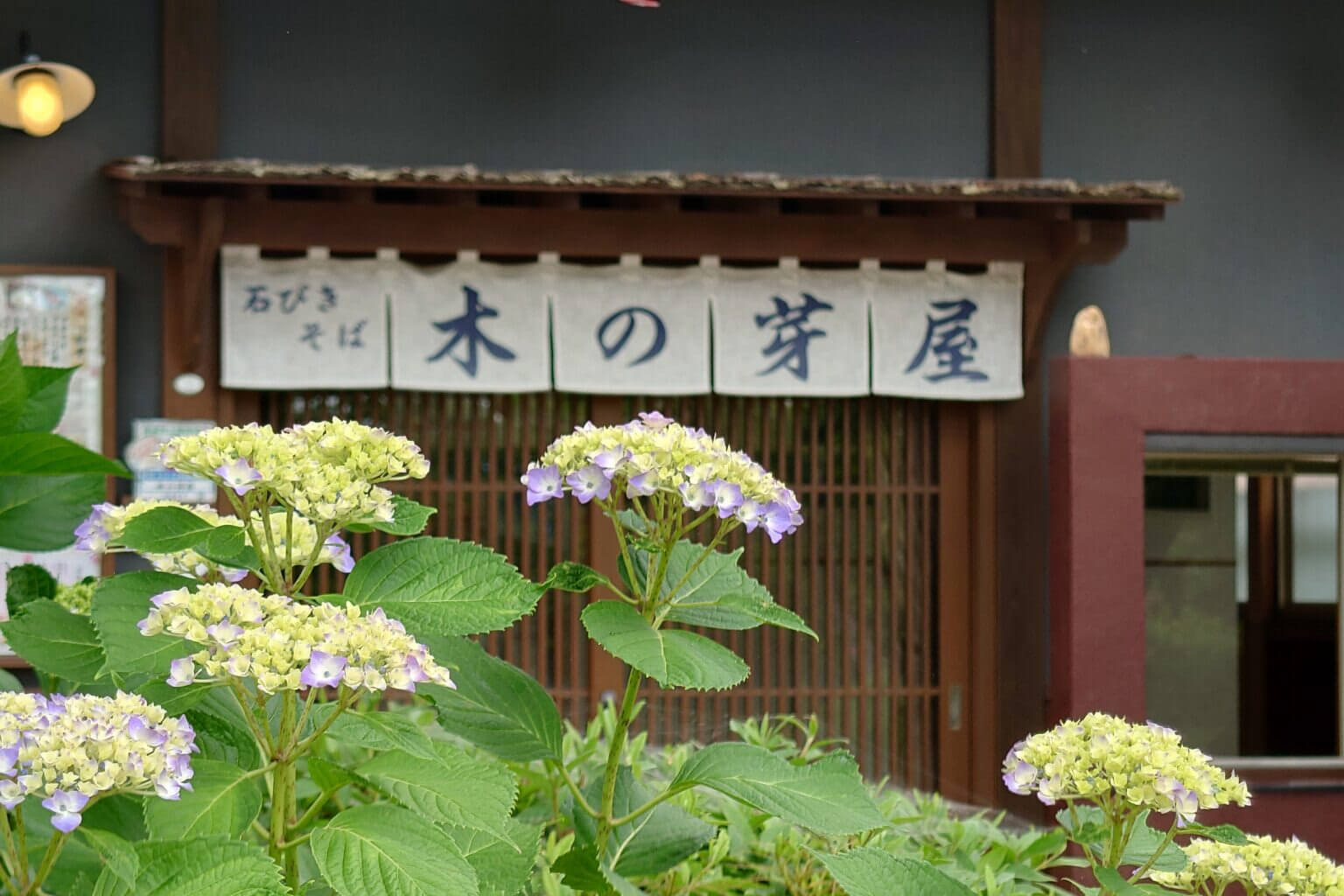 木の芽屋